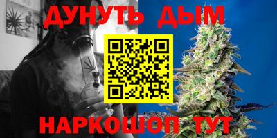 шишки Будённовск
