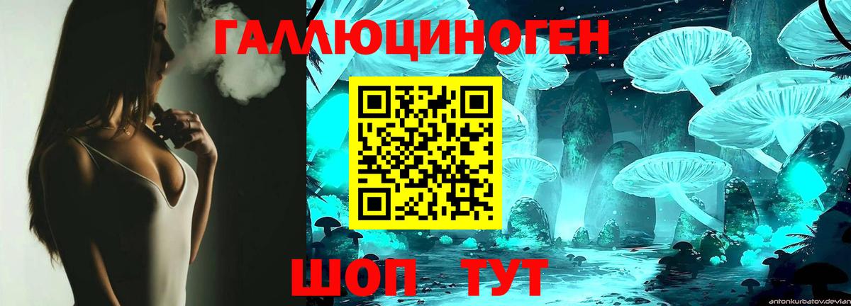 Галлюциногенные грибы Psilocybe Кузнецк