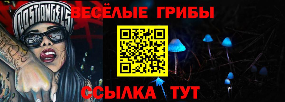 Кузнецк  Галлюциногенные грибы прущие грибы  Галлюциногенные грибы Psilocybe  Вход с VPN 